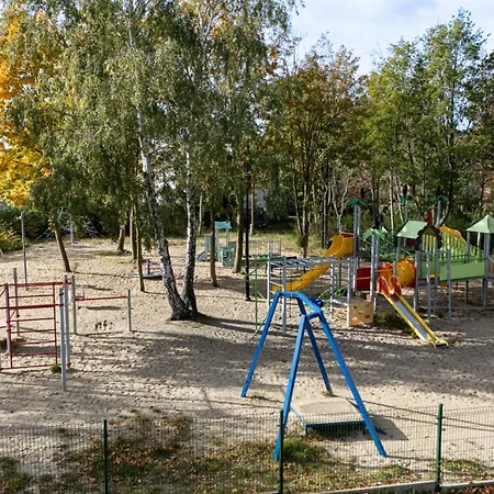 Porto Forest *